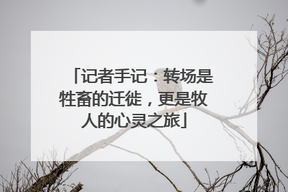 记者手记：转场是牲畜的迁徙，更是牧人的心灵之旅